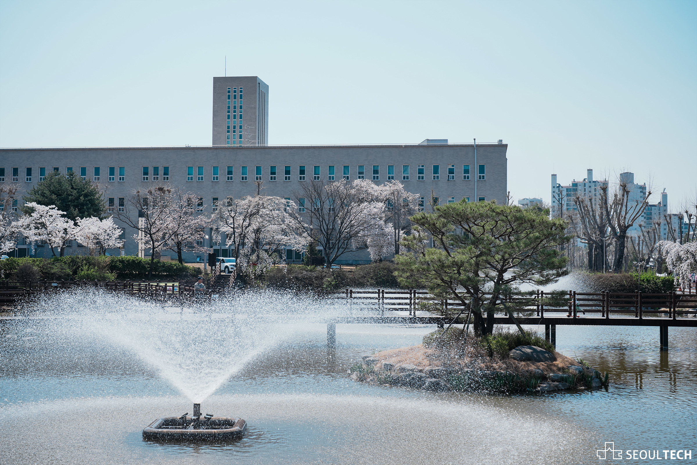학교 사진