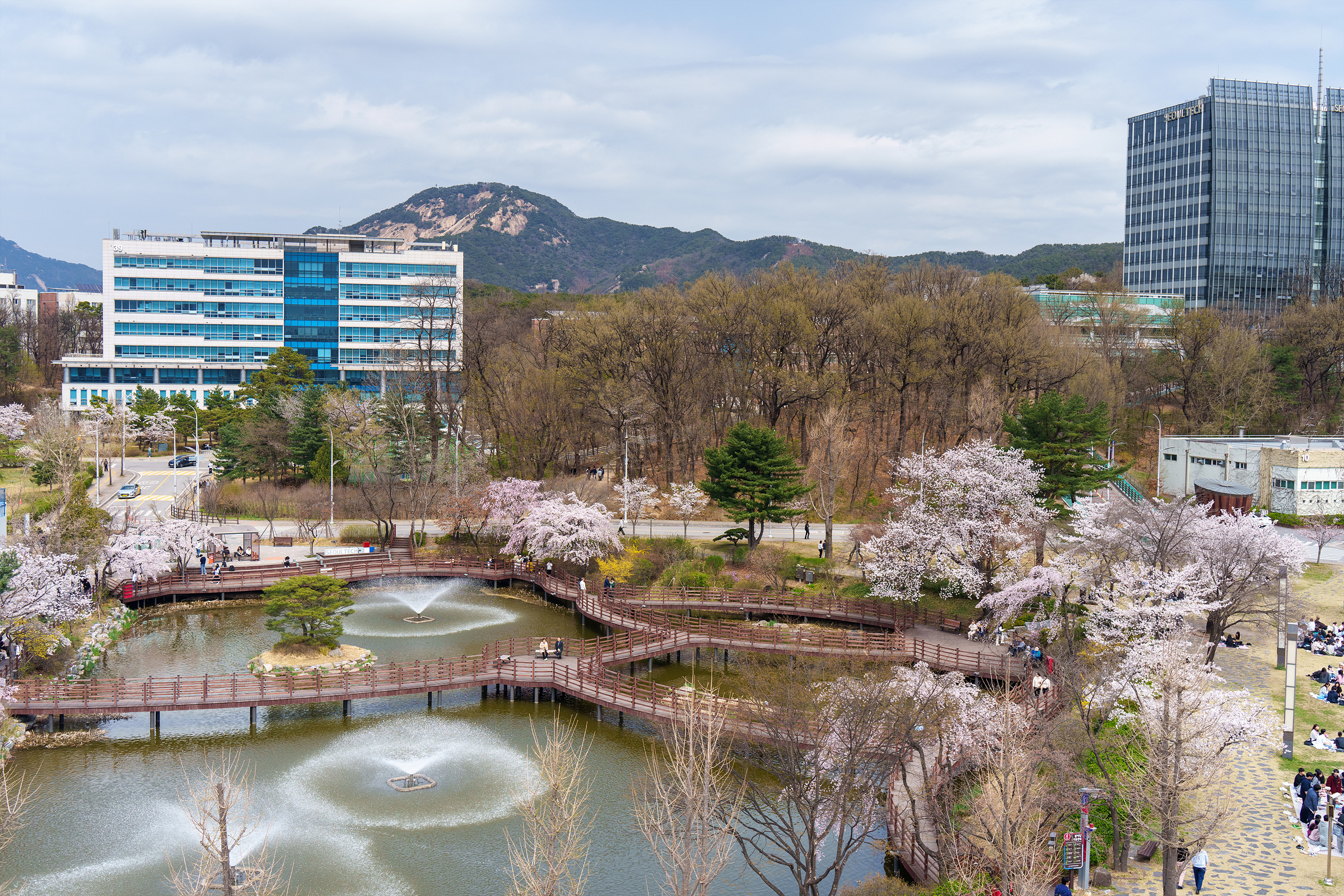 학교 사진